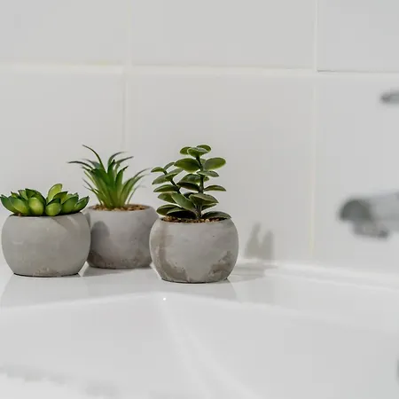 Daire Renovated With Sunny Terrace And Ocean Views In Malibu Park Tenerife *